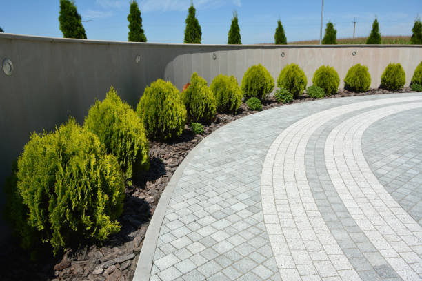 Reasons to Select Us for Your Driveway Paving Requirements in Wilmington, NC
